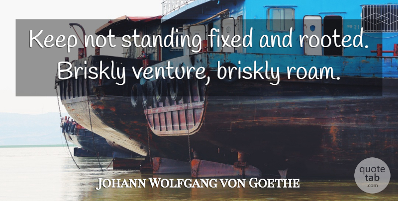 Johann Wolfgang von Goethe Quote About Inspirational, Venture, Fixed: Keep Not Standing Fixed And...