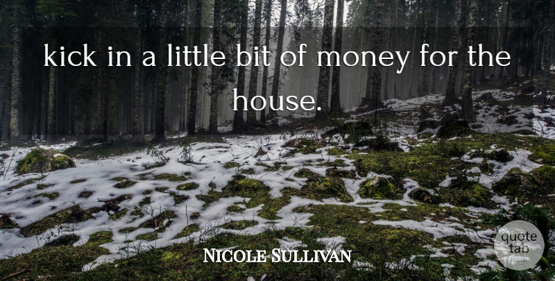 Nicole Sullivan Quote About Bit, Kick, Money: Kick In A Little Bit...