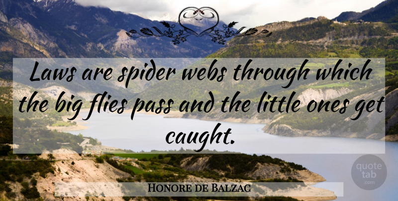 Honore de Balzac Quote About Law, Feet, Literature: Laws Are Spider Webs Through...