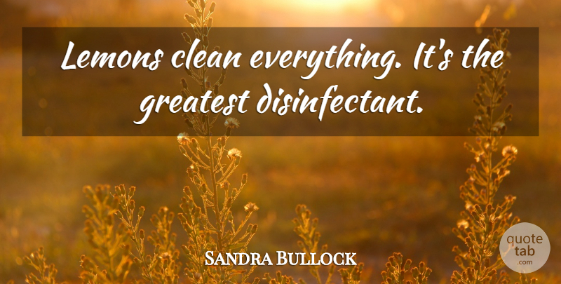 Sandra Bullock Quote About Clean, Lemons: Lemons Clean Everything Its The...
