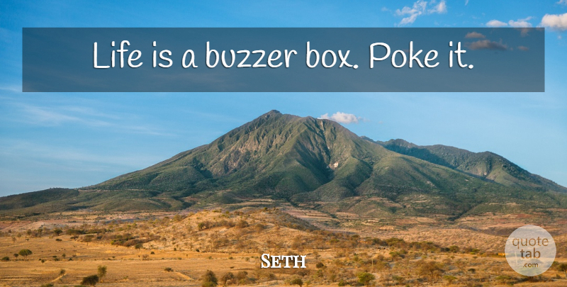 Seth Quote About Buzzers, Life Is, Boxes: Life Is A Buzzer Box...