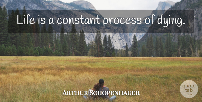 Arthur Schopenhauer Quote About Philosophical, Dying, Life Is: Life Is A Constant Process...
