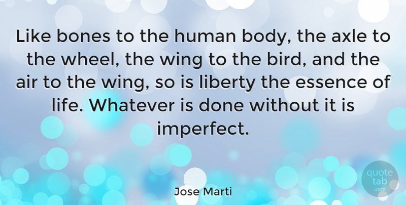 Jose Marti Quote About Essence, Wings, Air: Like Bones To The Human...