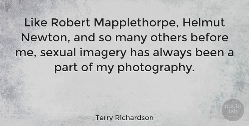 Terry Richardson Quote About Photography, Newton, Imagery: Like Robert Mapplethorpe Helmut Newton...