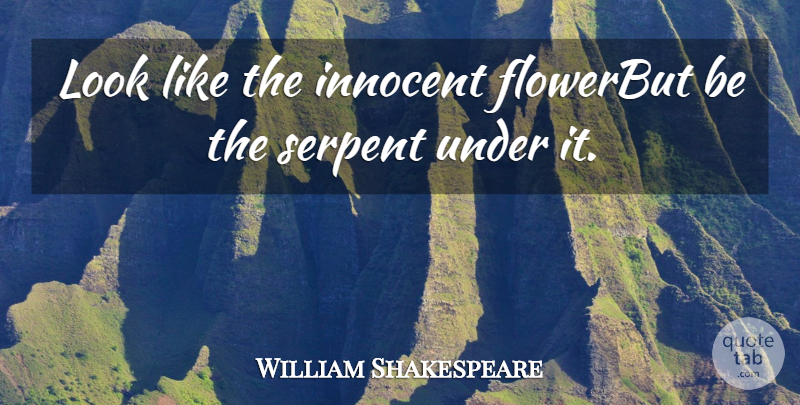 William Shakespeare Quote About Innocent, Serpent: Look Like The Innocent Flowerbut...