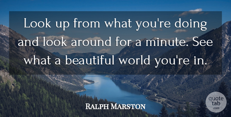 Ralph Marston Quote About undefined: Look Up From What Youre...