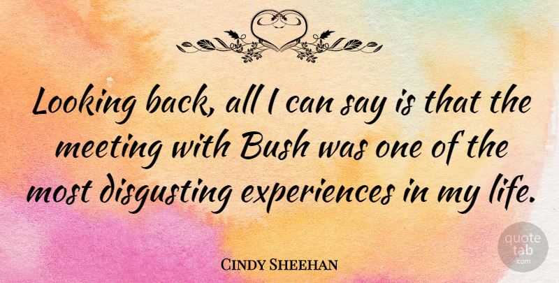 Cindy Sheehan Quote About Bush, Disgusting, Life: Looking Back All I Can...