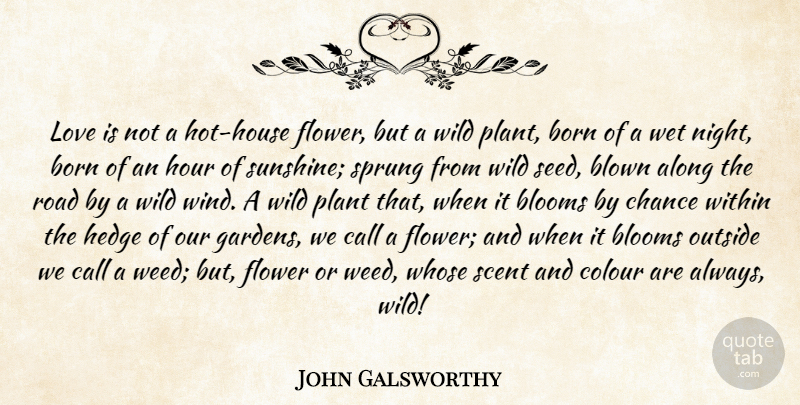 John Galsworthy Quote About Weed, Flower, Sunshine: Love Is Not A Hot...