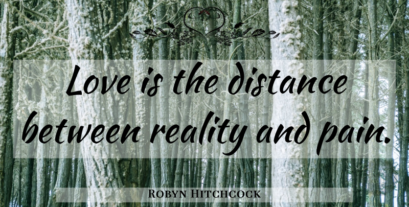 Robyn Hitchcock Quote About Pain, Distance, Love Is: Love Is The Distance Between...