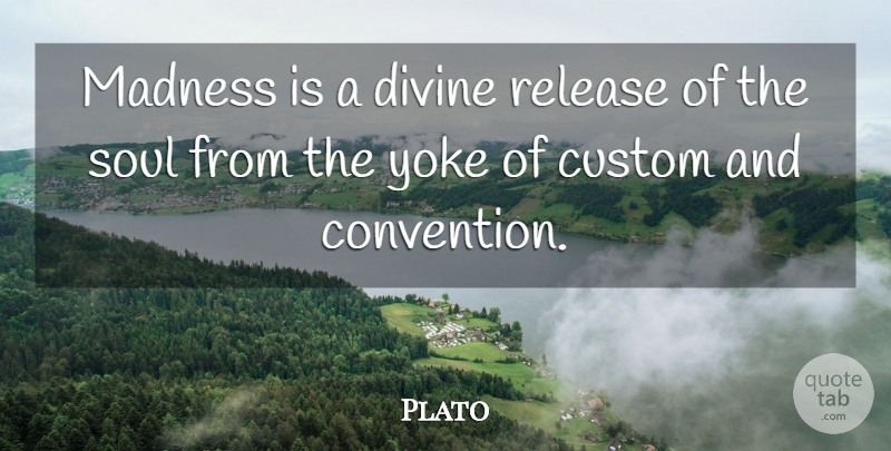 Plato Quote About Soul, Yoke, Madness: Madness Is A Divine Release...