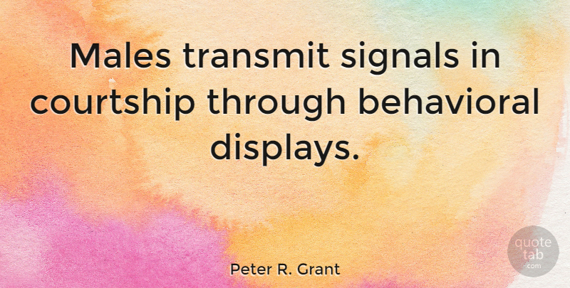 Peter R. Grant Quote About Courtship, Transmit: Males Transmit Signals In Courtship...