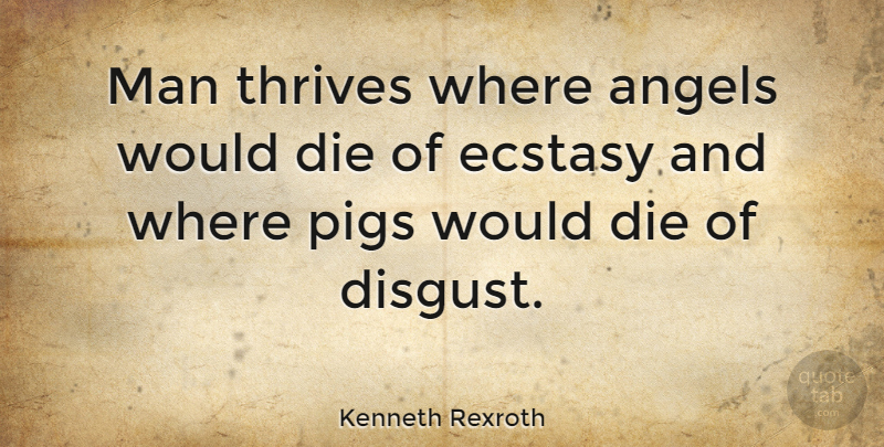 Kenneth Rexroth Quote About Angel, Men, Pigs: Man Thrives Where Angels Would...