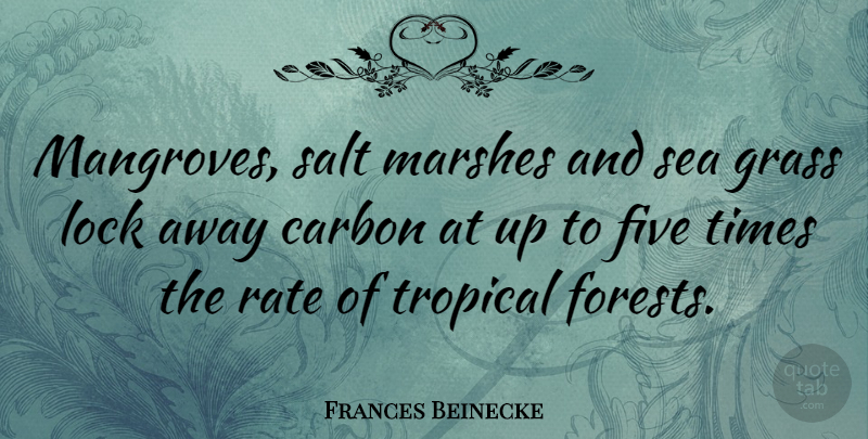 Frances Beinecke Quote About Carbon, Five, Lock, Rate, Salt: Mangroves Salt Marshes And Sea...