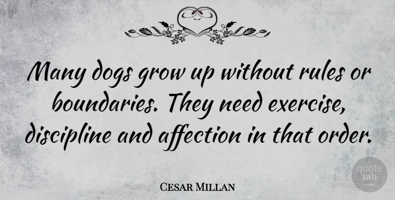 Cesar Millan Quote About Dog, Growing Up, Exercise: Many Dogs Grow Up Without...