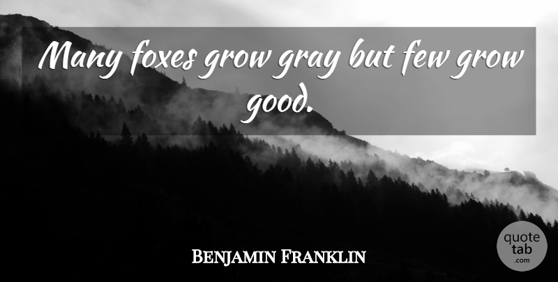 Benjamin Franklin Quote About Funny, Time, Age: Many Foxes Grow Gray But...
