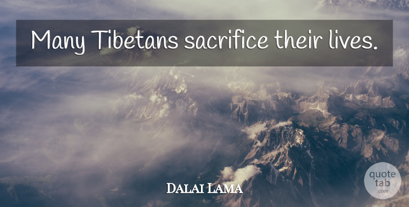 Dalai Lama Quote About Sacrifice, Tibetan: Many Tibetans Sacrifice Their Lives...