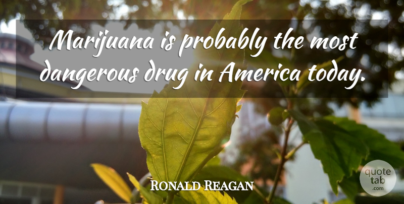 Ronald Reagan Quote About Marijuana, America, Drug: Marijuana Is Probably The Most...