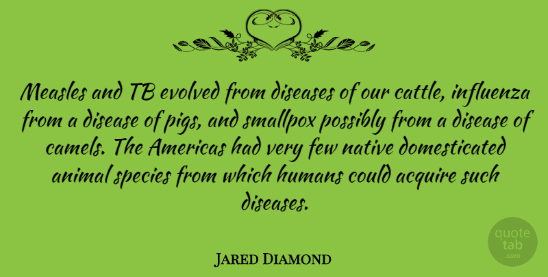 Jared Diamond Quote About Animal, Pigs, Disease: Measles And Tb Evolved From...
