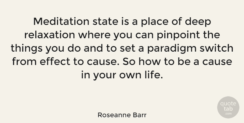 Roseanne Barr Quote About Meditation, Relaxation, Causes: Meditation State Is A Place...