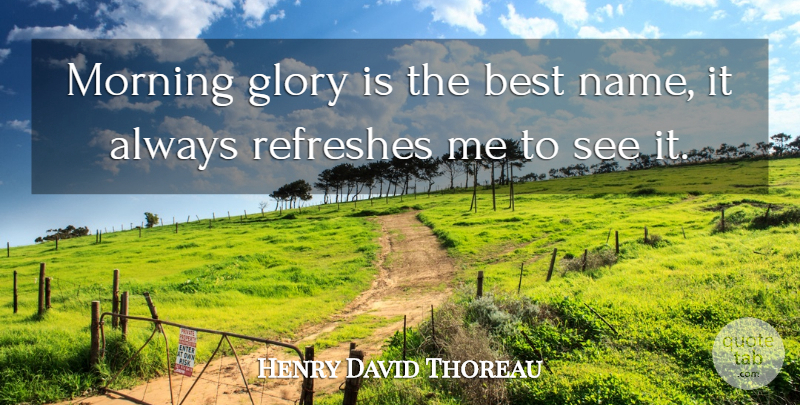 Henry David Thoreau Quote About Morning, Names, Sunrise: Morning Glory Is The Best...