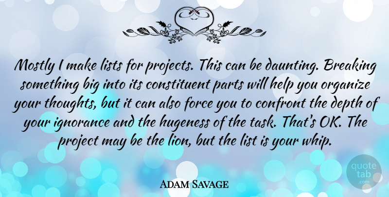 Adam Savage Quote About Ignorance, Tasks, Lions: Mostly I Make Lists For...
