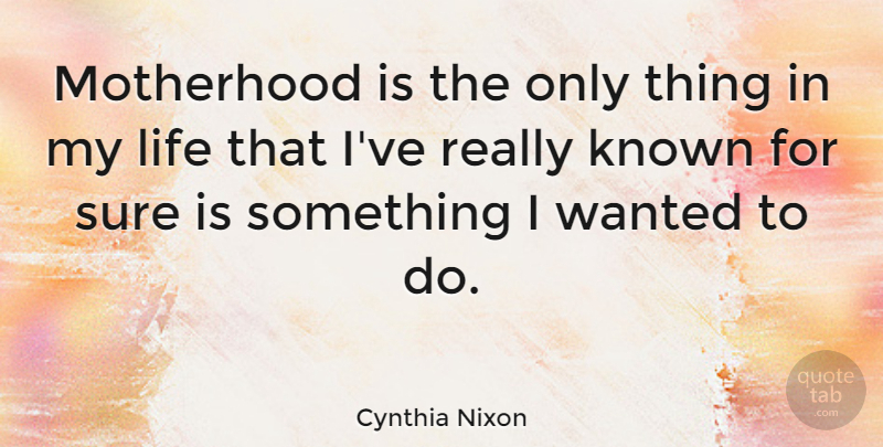 Cynthia Nixon Quote About Motherhood, Being A Mom, Wanted: Motherhood Is The Only Thing...