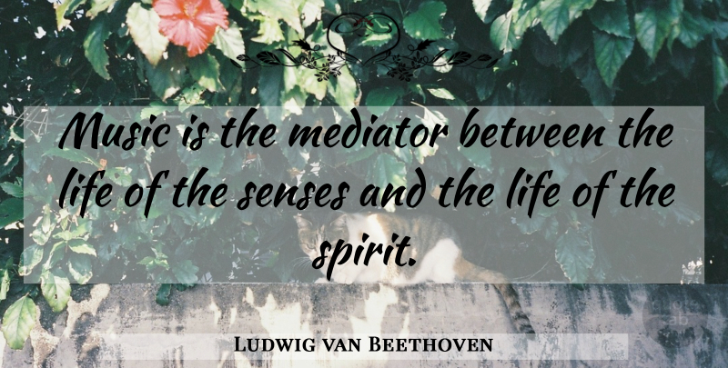 Ludwig van Beethoven Quote About Inspiration, Spirit, Contemplation: Music Is The Mediator Between...