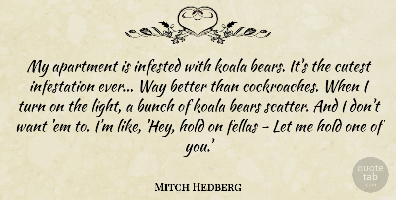 Mitch Hedberg Quote About Apartment, Bears, Bunch, Hold, Koala: My Apartment Is Infested With...