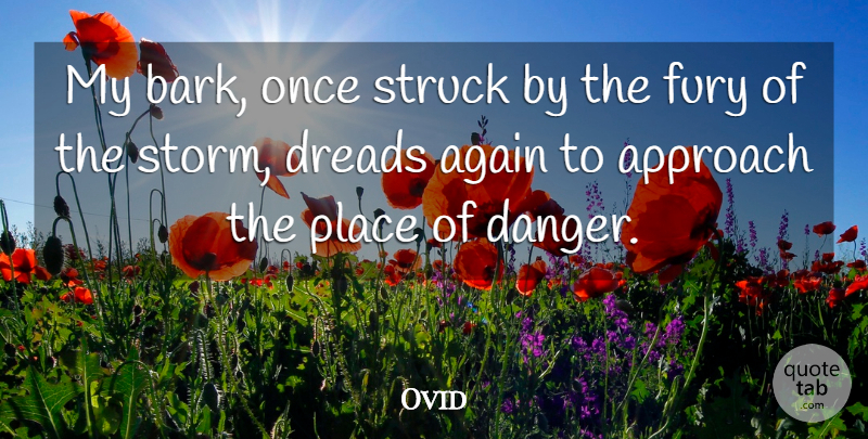Ovid Quote About Storm, Danger, Bark: My Bark Once Struck By...