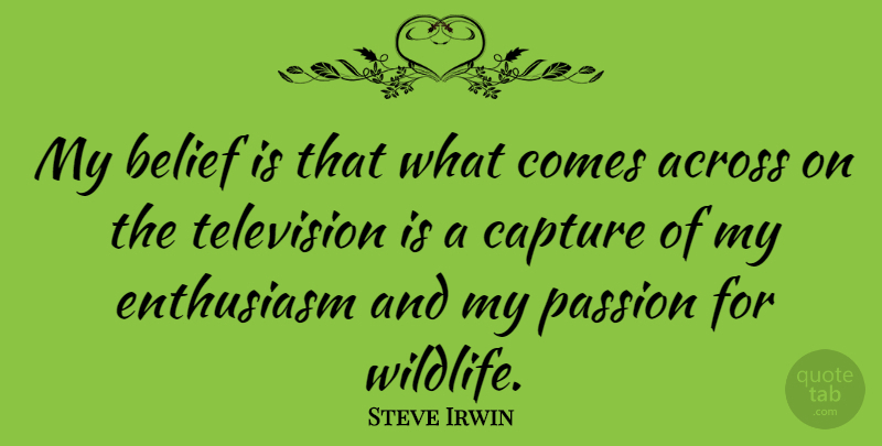 Steve Irwin Quote About Passion, Television, Enthusiasm: My Belief Is That What...