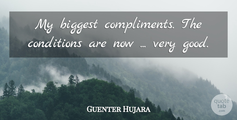 Guenter Hujara Quote About Biggest, Compliments, Conditions: My Biggest Compliments The Conditions...
