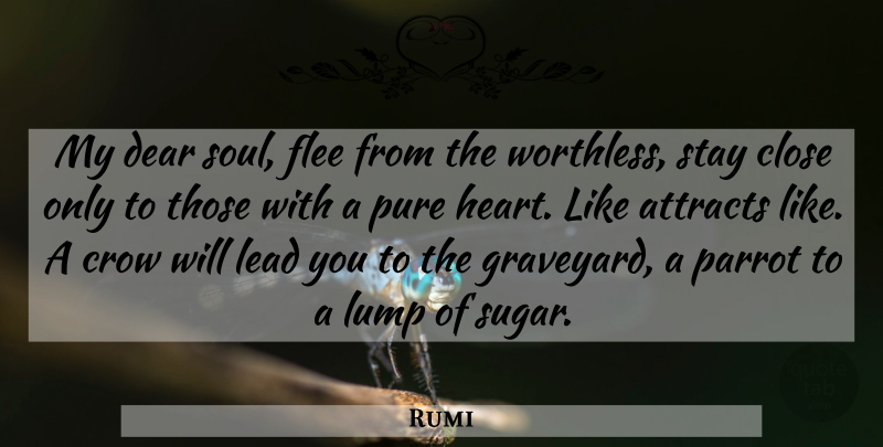 Rumi Quote About Heart, Soul, Crow: My Dear Soul Flee From...