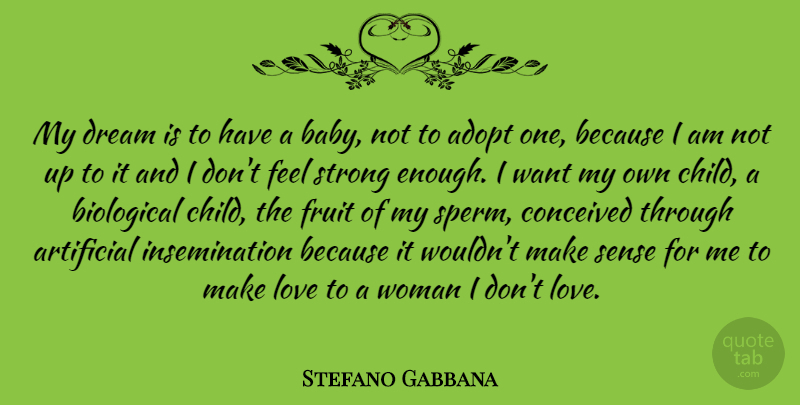 Stefano Gabbana Quote About Adopt, Artificial, Biological, Conceived, Dream: My Dream Is To Have...