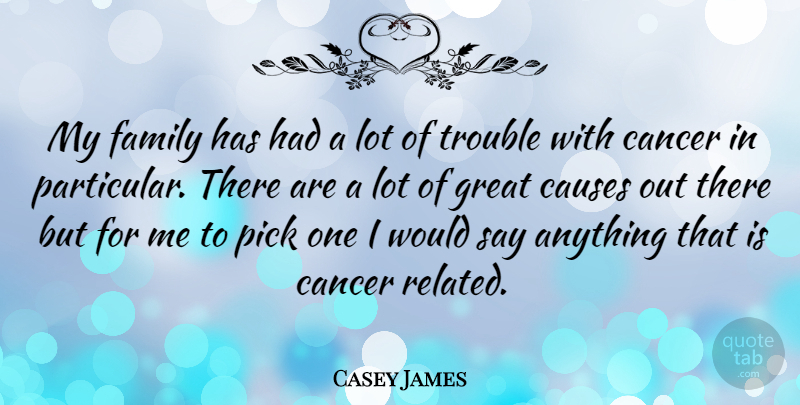 Casey James Quote About Causes, Family, Great, Pick, Trouble: My Family Has Had A...
