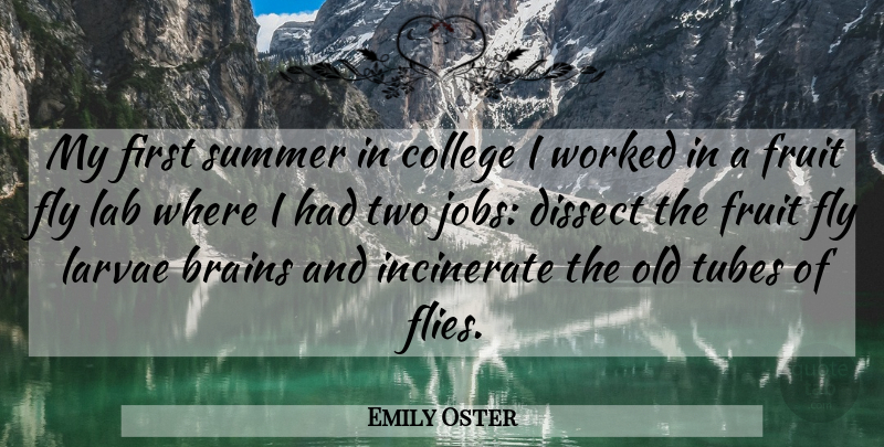 Emily Oster Quote About Brains, College, Dissect, Fly, Fruit: My First Summer In College...
