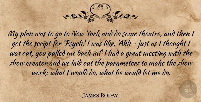 James Roday Quote About Creator, Great, Laid, Meeting, Parameters: My Plan Was To Go...
