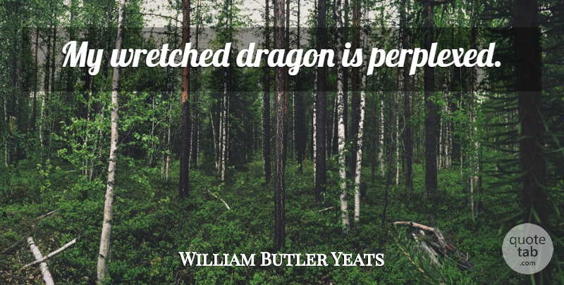 William Butler Yeats Quote About Inspirational, Life, Dragons: My Wretched Dragon Is Perplexed...
