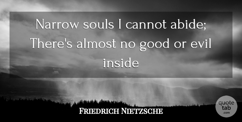 Friedrich Nietzsche Quote About Evil, Soul: Narrow Souls I Cannot Abide...