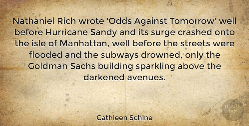 Cathleen Schine Quote About Above, Against, Crashed, Flooded, Hurricane: Nathaniel Rich Wrote Odds Against...