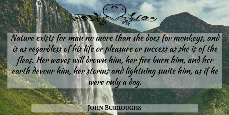 John Burroughs Quote About Dog, Nature, Men: Nature Exists For Man No...
