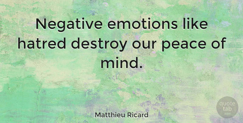 Matthieu Ricard Quote About Hatred, Mind, Negative: Negative Emotions Like Hatred Destroy...