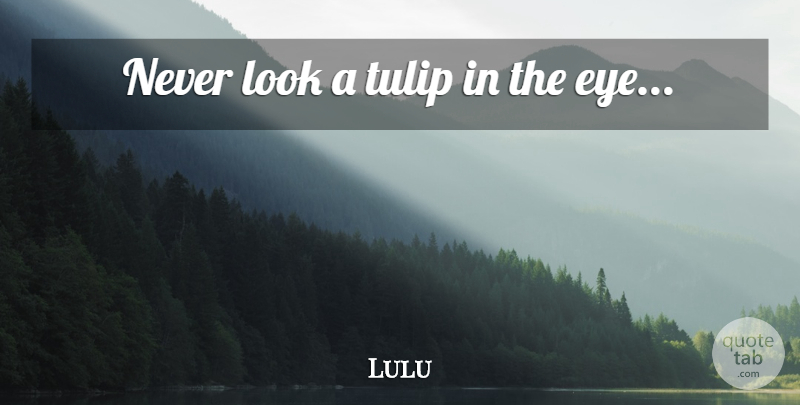 Lulu Quote About Eye, Looks: Never Look A Tulip In...