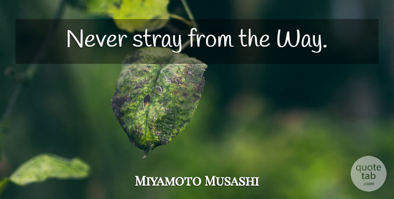 Miyamoto Musashi Quote About Way: Never Stray From The Way...