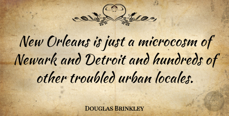 Douglas Brinkley Quote About Detroit, Microcosm, Newark, Orleans, Troubled: New Orleans Is Just A...