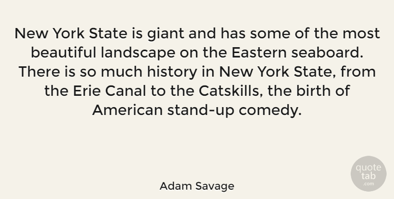 Adam Savage Quote About Beautiful, New York, Giants: New York State Is Giant...