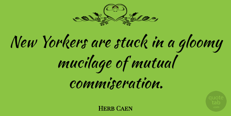 Herb Caen Quote About Stuck, Gloomy, Mutual: New Yorkers Are Stuck In...