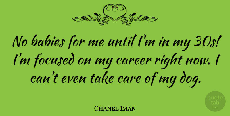 Chanel Iman Quote About Baby, Dog, Careers: No Babies For Me Until...