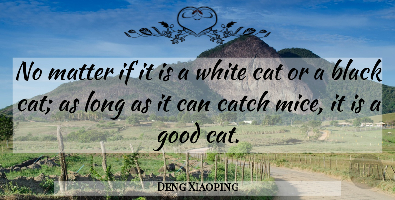 Deng Xiaoping Quote About Cat, White, Long: No Matter If It Is...