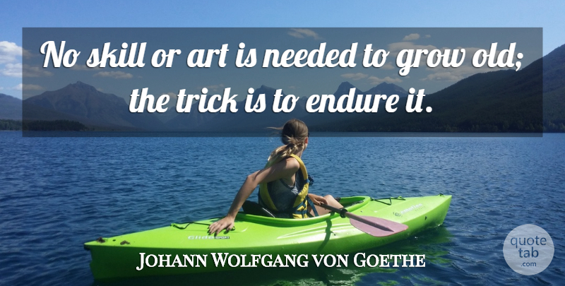 Johann Wolfgang von Goethe Quote About Art, Skills, Tricks: No Skill Or Art Is...