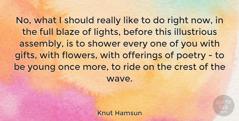 Knut Hamsun Quote About Flower, Light, Offering: No What I Should Really...